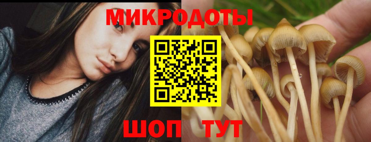 Сатка  Псилоцибиновые грибы MAGIC MUSHROOMS  Вход с VPN 